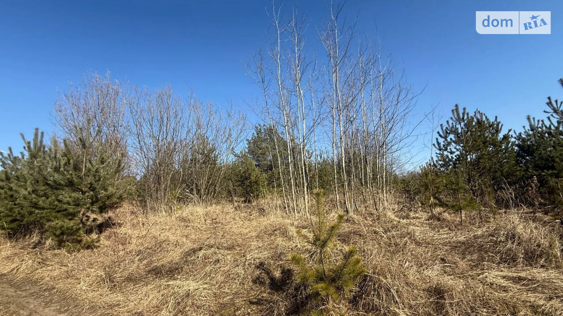 Продается земельный участок 12 соток в Хмельницкой области, цена: 18000 $ - фото 3