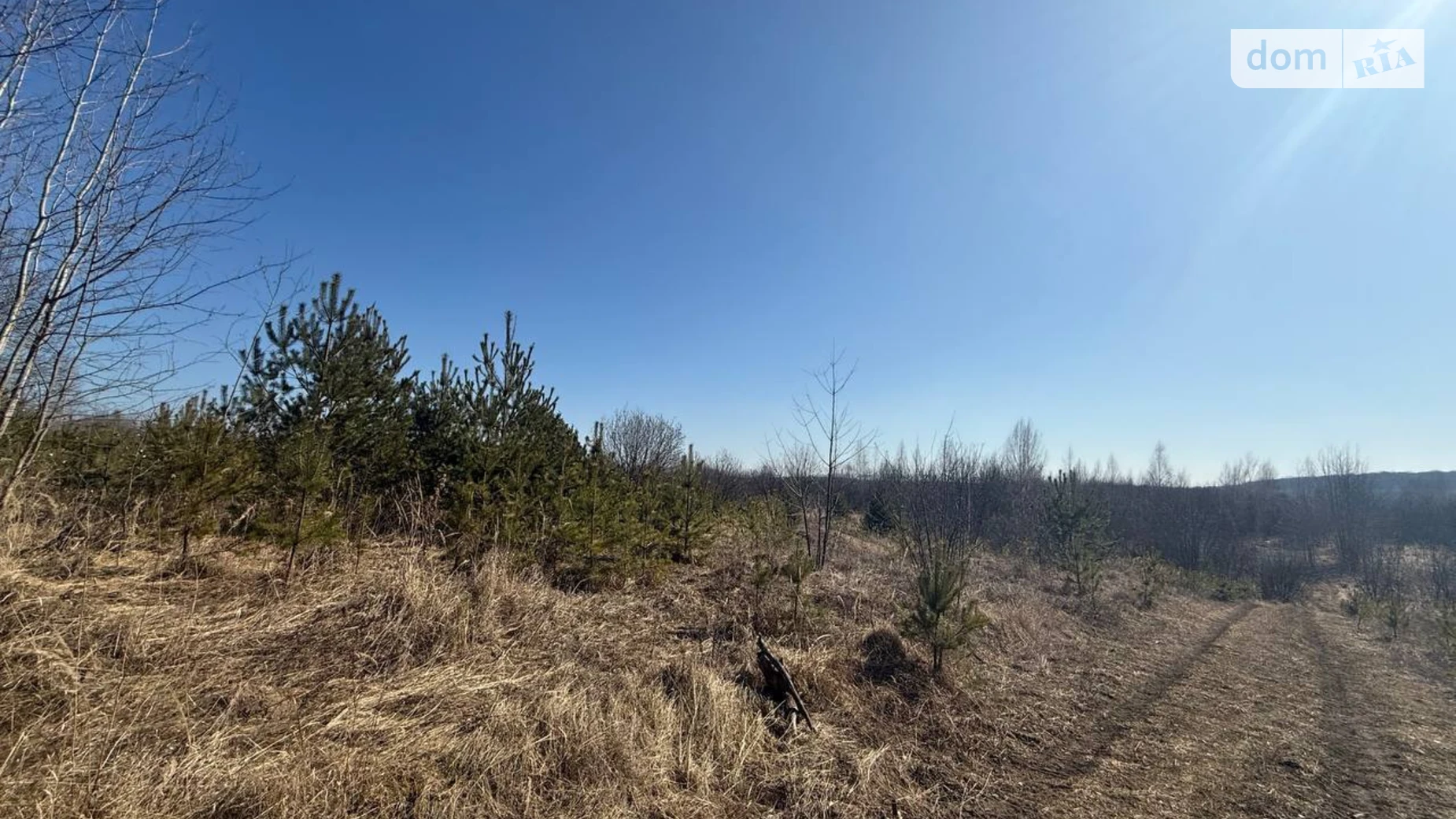 Продается земельный участок 12 соток в Хмельницкой области, цена: 18000 $ - фото 4