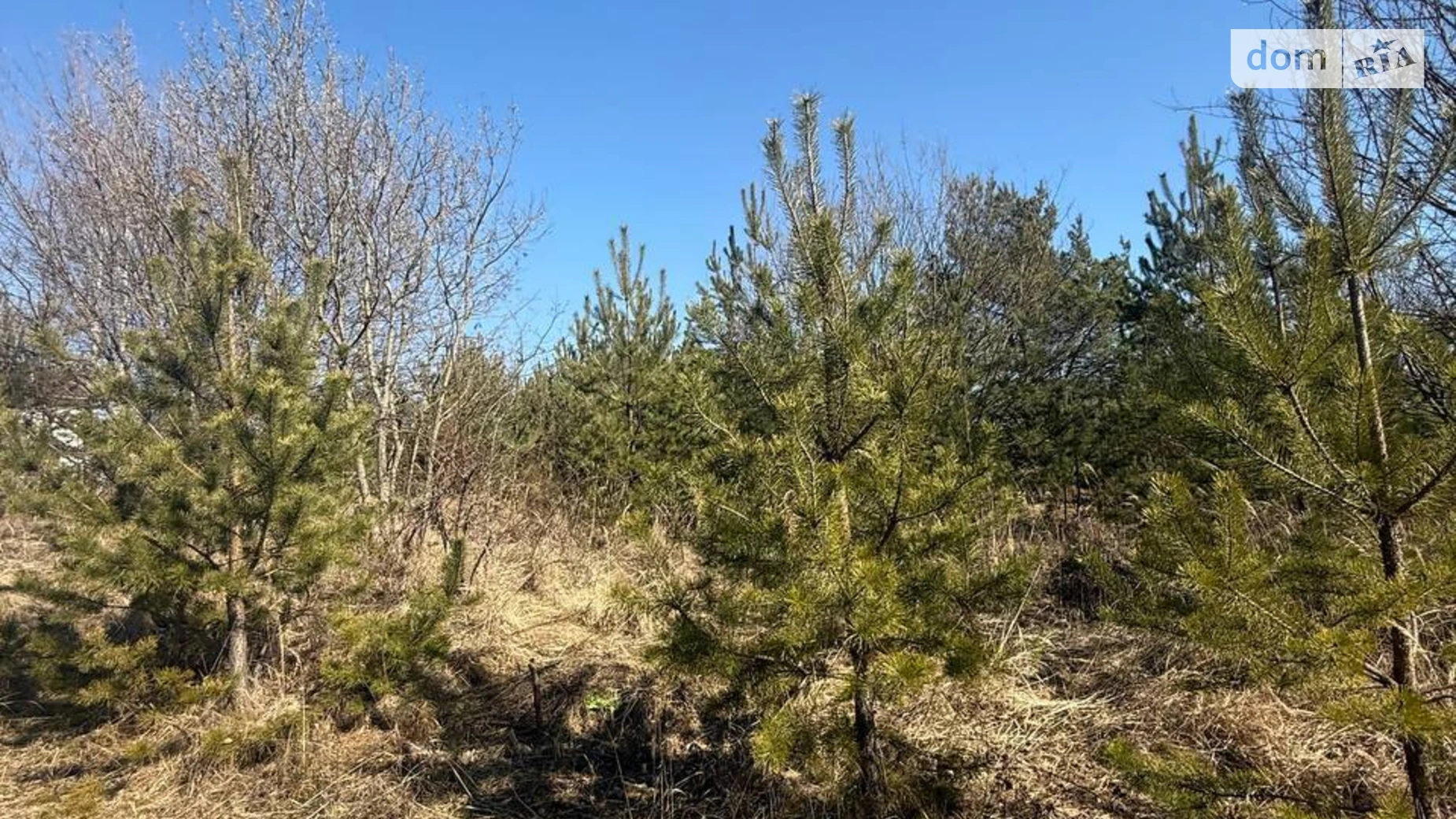 Продается земельный участок 12 соток в Хмельницкой области, цена: 18000 $ - фото 5