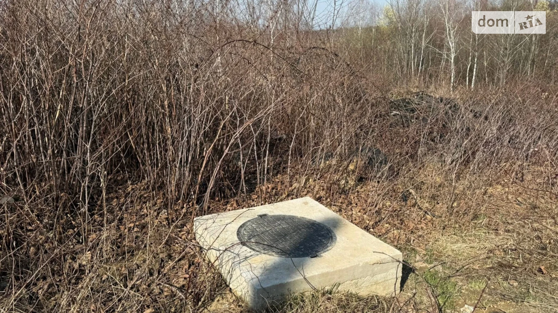 Продается земельный участок 25.83 соток в Закарпатской области, цена: 130000 $ - фото 4