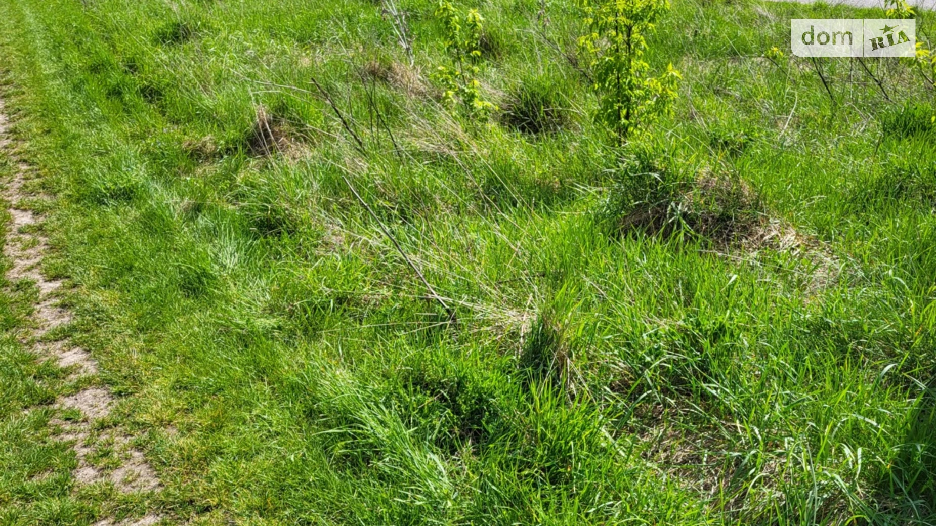 ул. Шевченка Великий Глубочек, цена: 21000 $ - фото 2