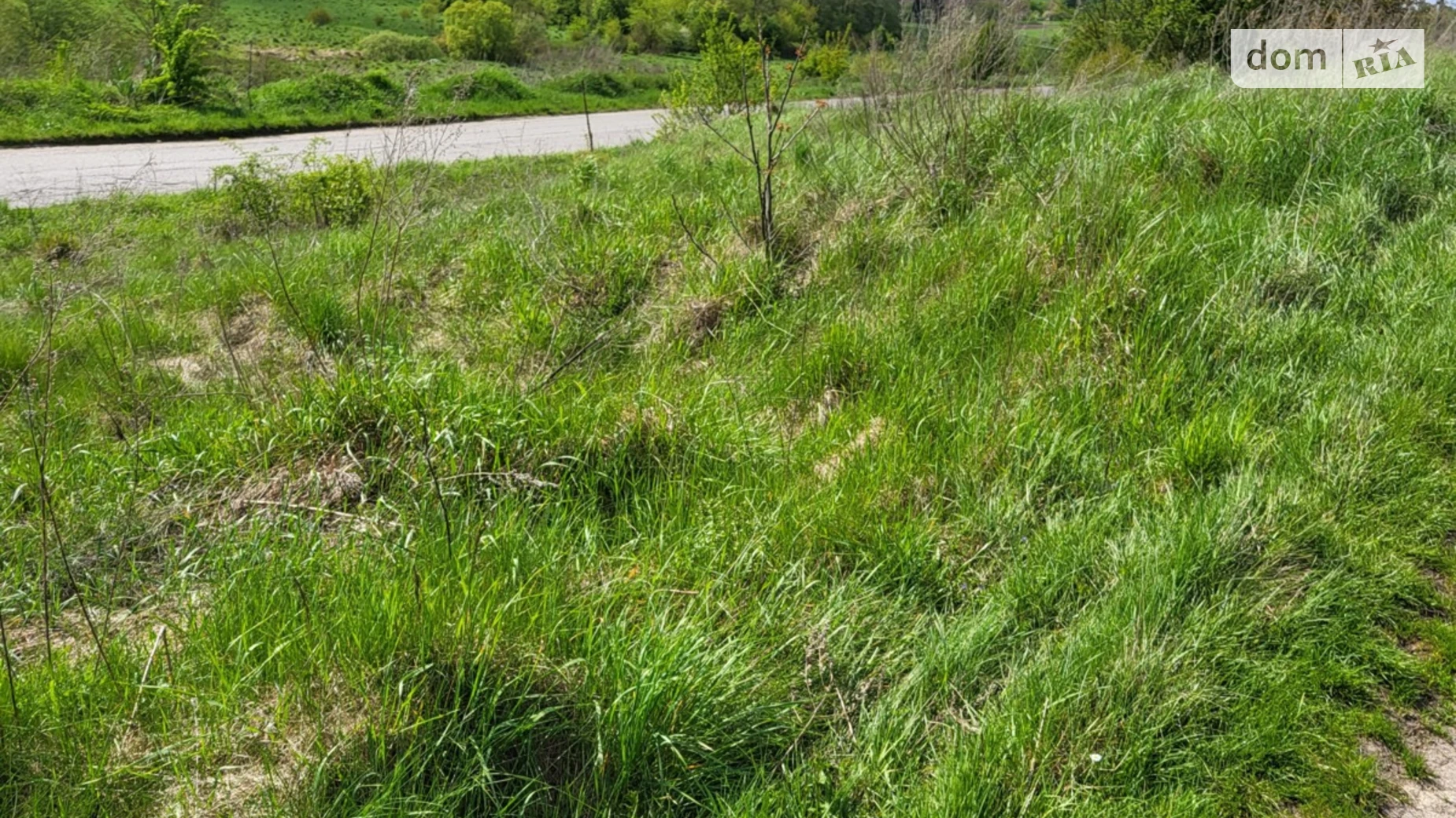 ул. Шевченка Великий Глубочек, цена: 21000 $ - фото 3