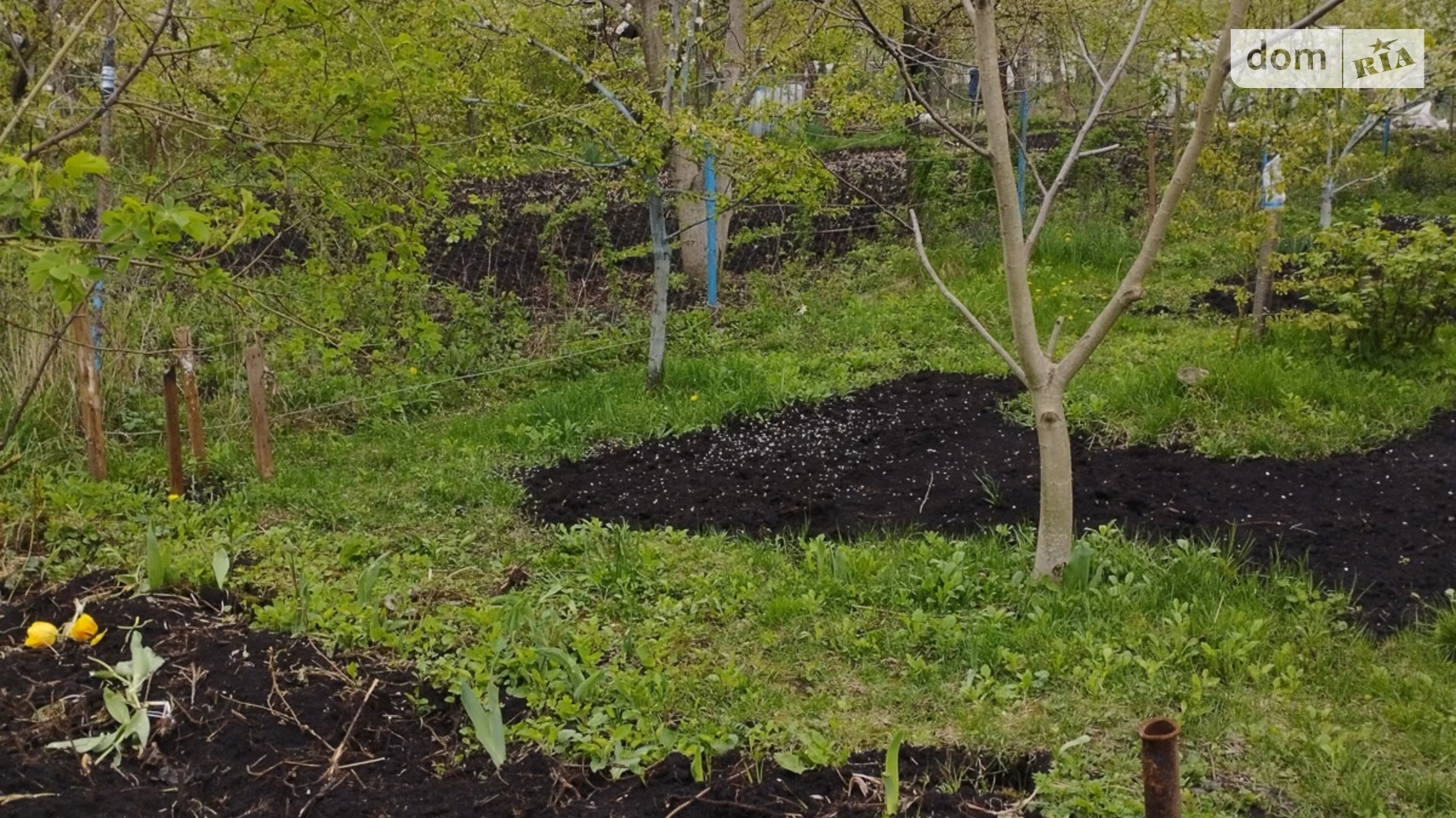 Продается земельный участок 4.4 соток в Сумской области, цена: 4300 $ - фото 2