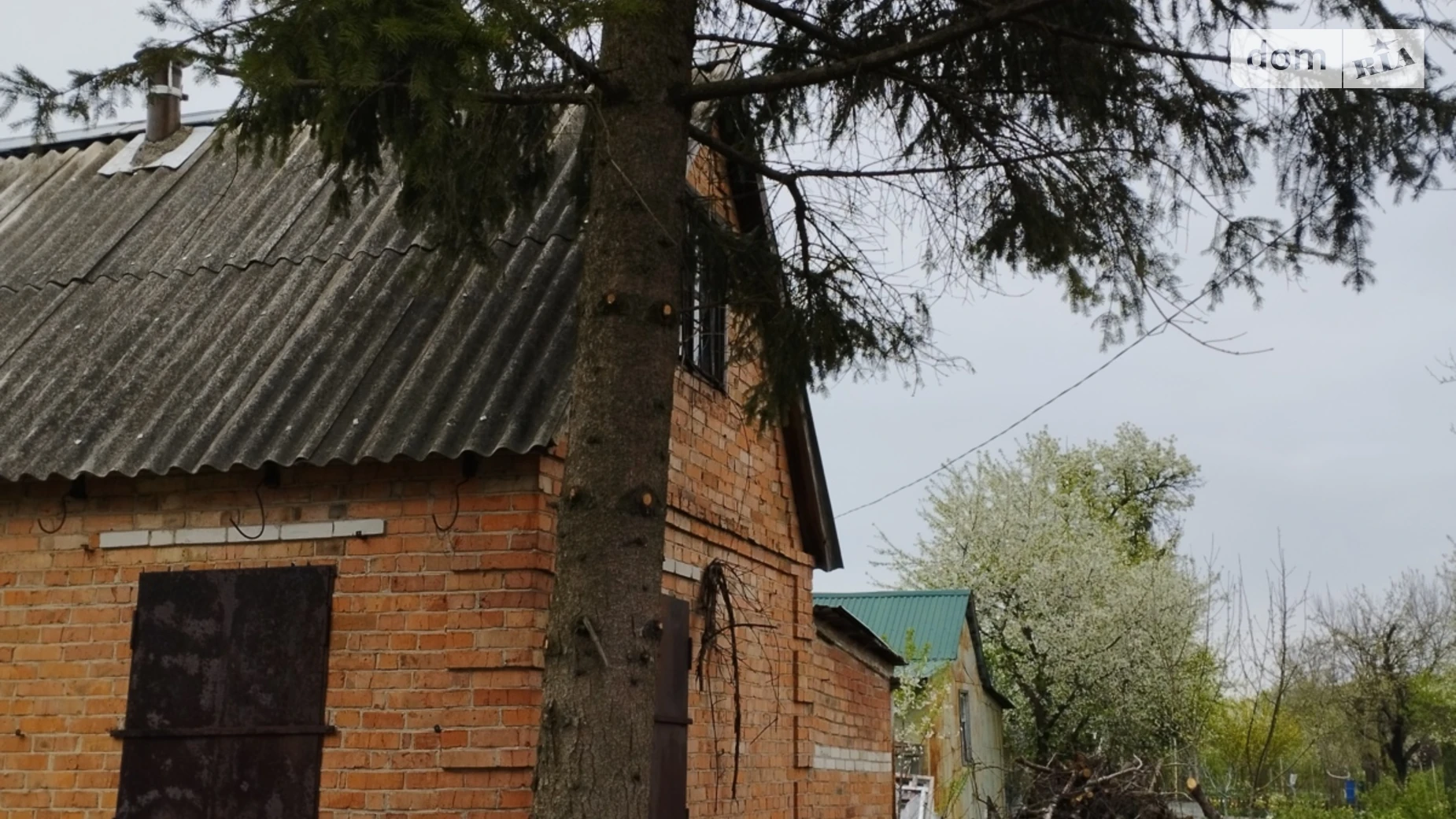 Продается земельный участок 4.4 соток в Сумской области, цена: 4300 $ - фото 5