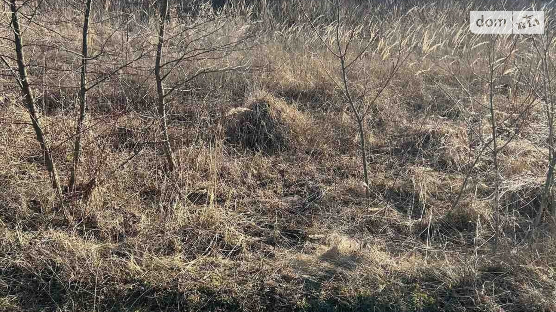 Продается земельный участок 10 соток в Хмельницкой области, цена: 4500 $ - фото 4