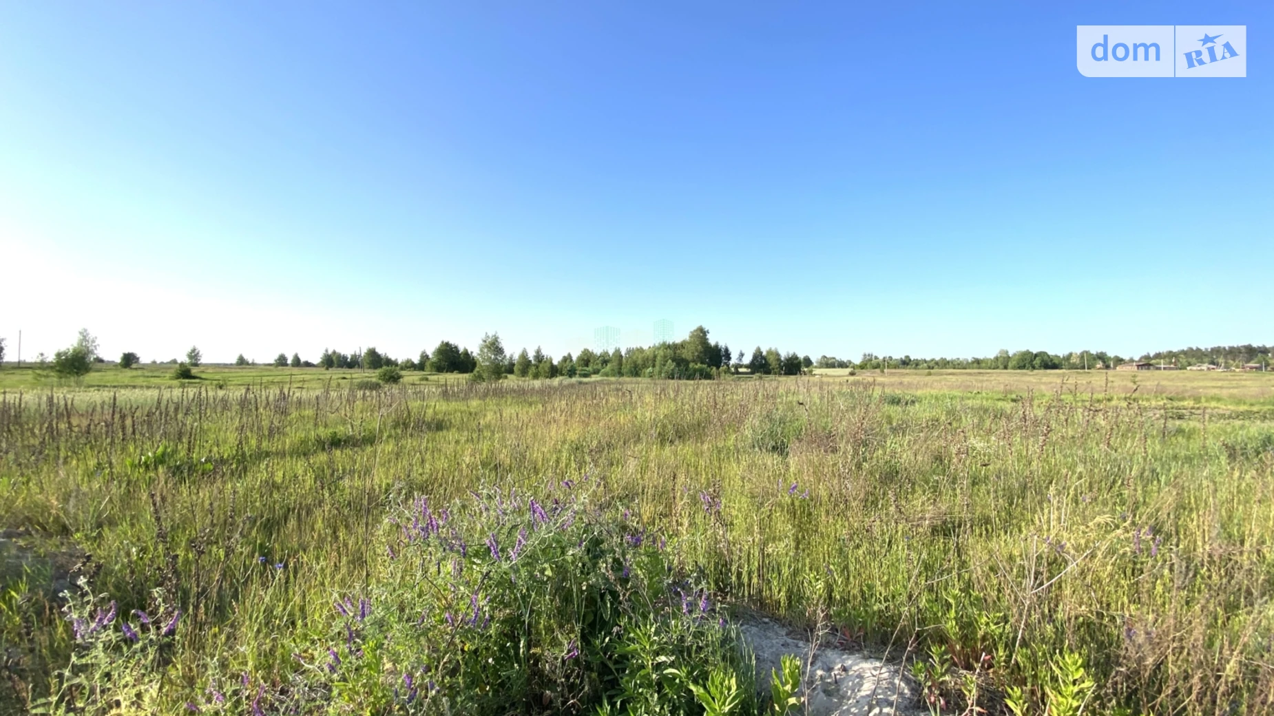 Продается земельный участок 55.09 соток в Киевской области, цена: 12500 $ - фото 3