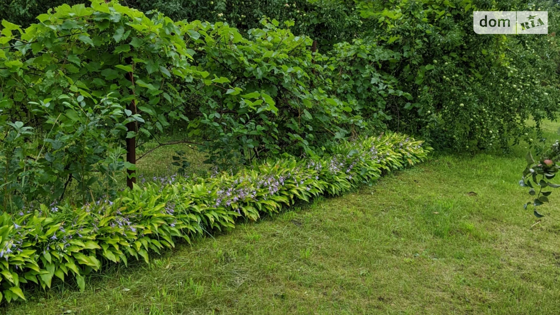 Продается одноэтажный дом 56.6 кв. м с гаражом, цена: 10000 $ - фото 5