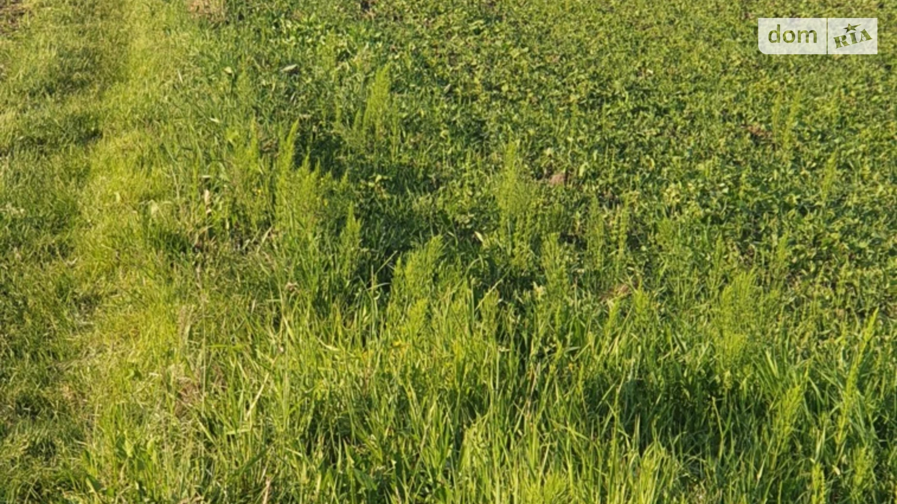 ул. Новое село Озерна, цена: 38000 $ - фото 2