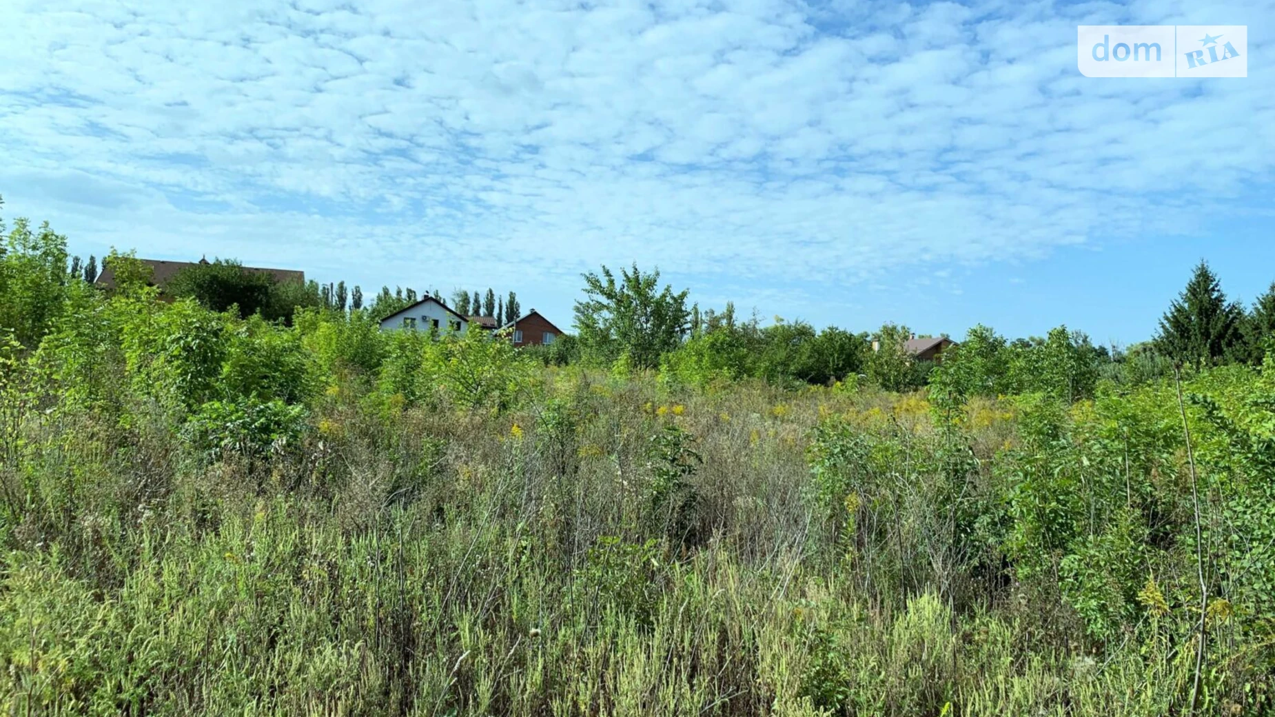 Продается земельный участок 10 соток в Полтавской области, цена: 25000 $ - фото 5