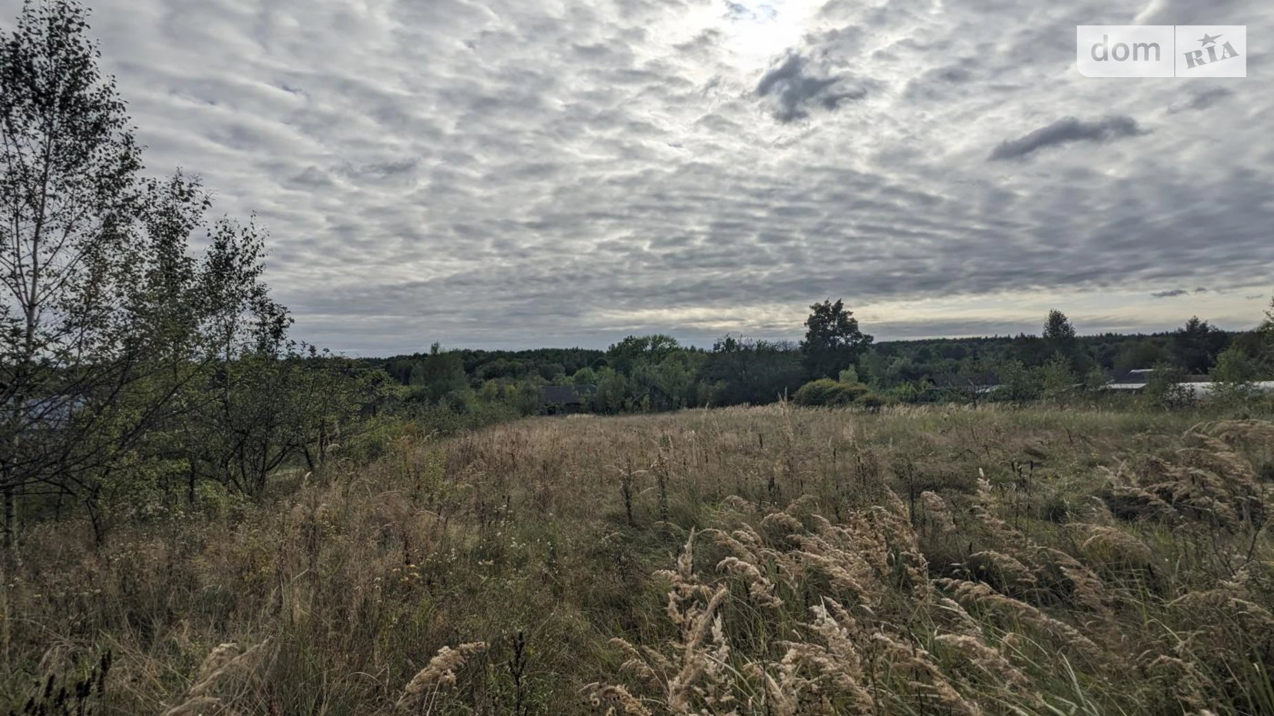 Продается земельный участок 60 соток в Ивано-Франковской области, цена: 38000 $ - фото 3