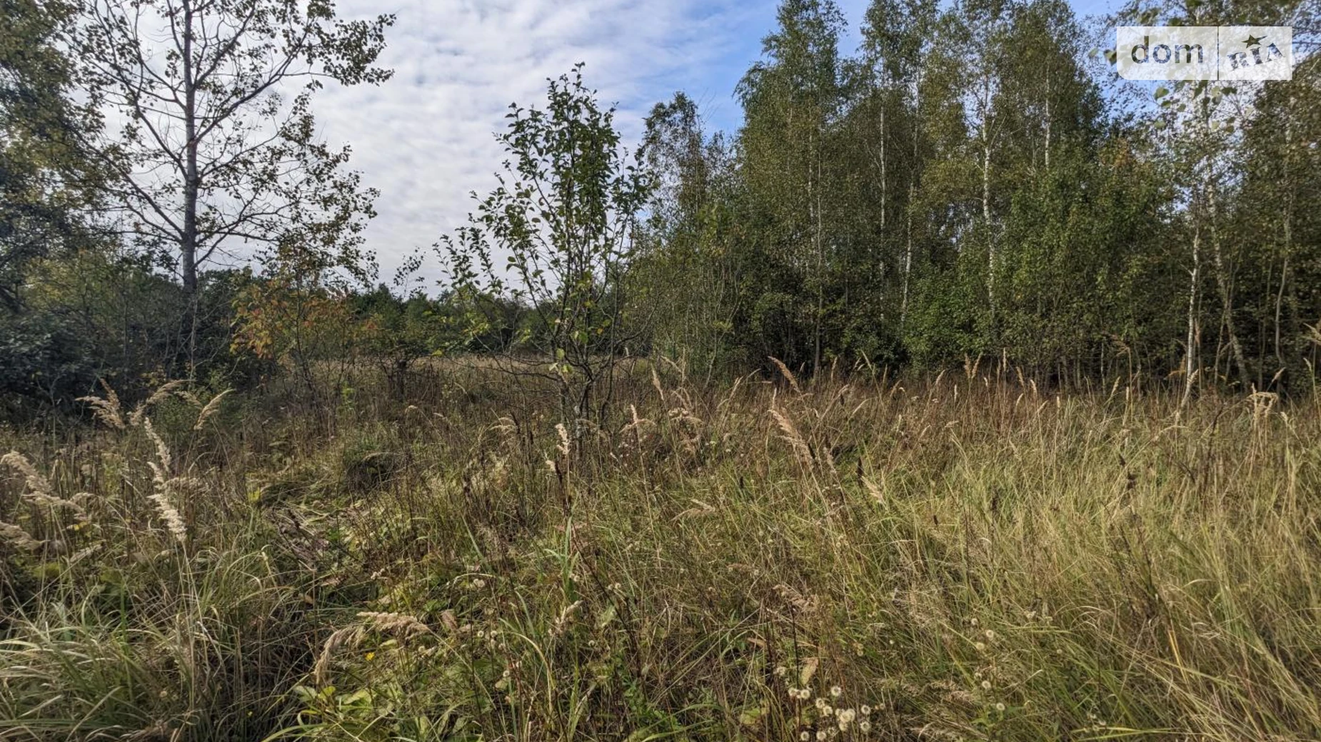 Продается земельный участок 60 соток в Ивано-Франковской области, цена: 38000 $ - фото 2