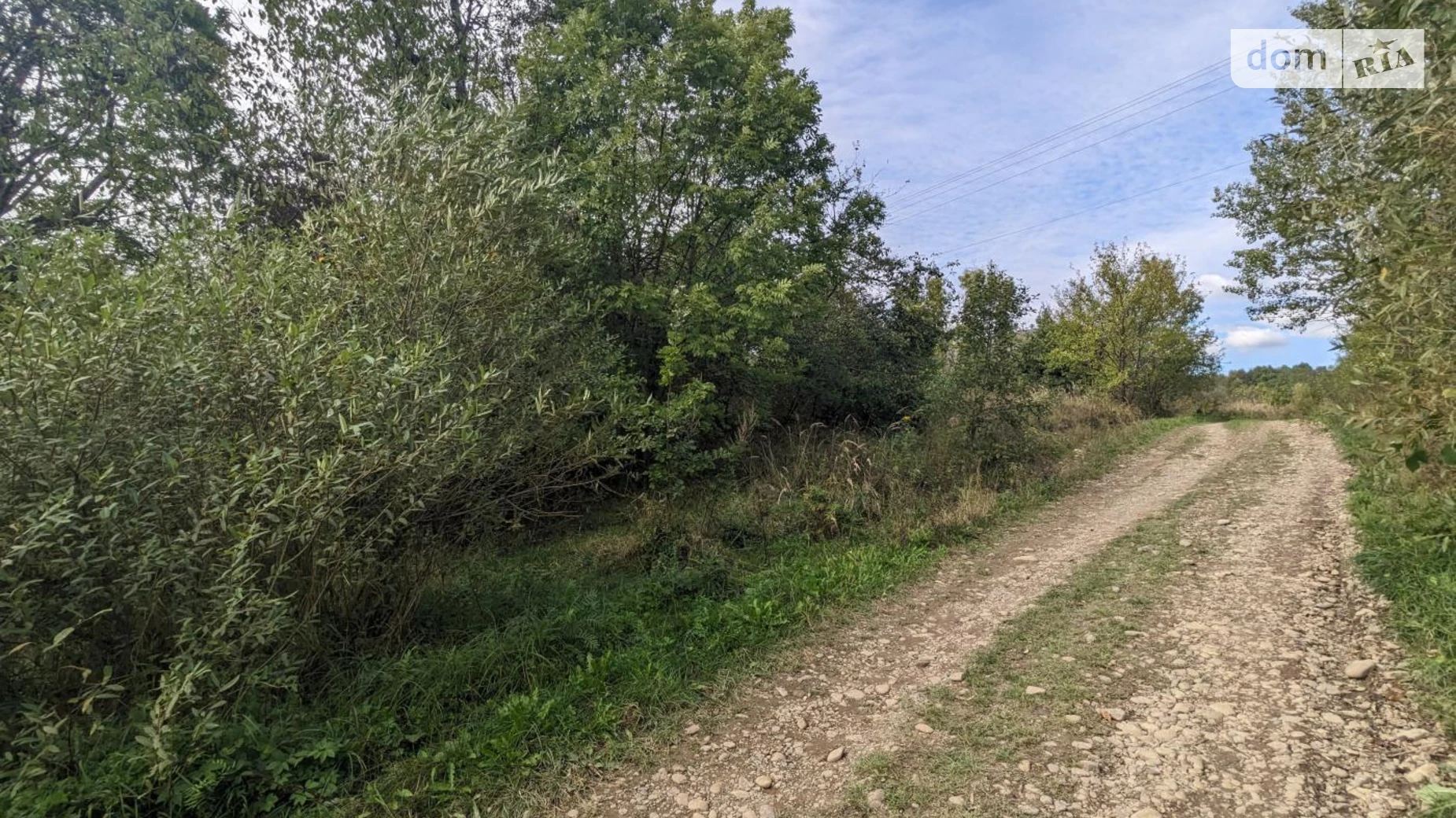 Продается земельный участок 60 соток в Ивано-Франковской области, цена: 38000 $ - фото 5