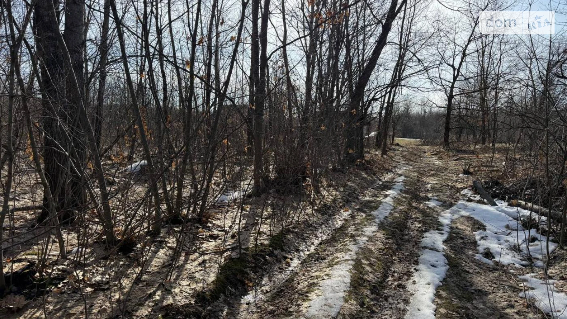 Продается земельный участок 25 соток в Ивано-Франковской области, цена: 20500 $ - фото 4