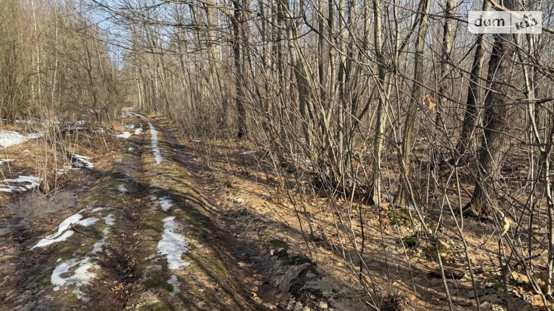 Продается земельный участок 25 соток в Ивано-Франковской области, цена: 20500 $ - фото 5