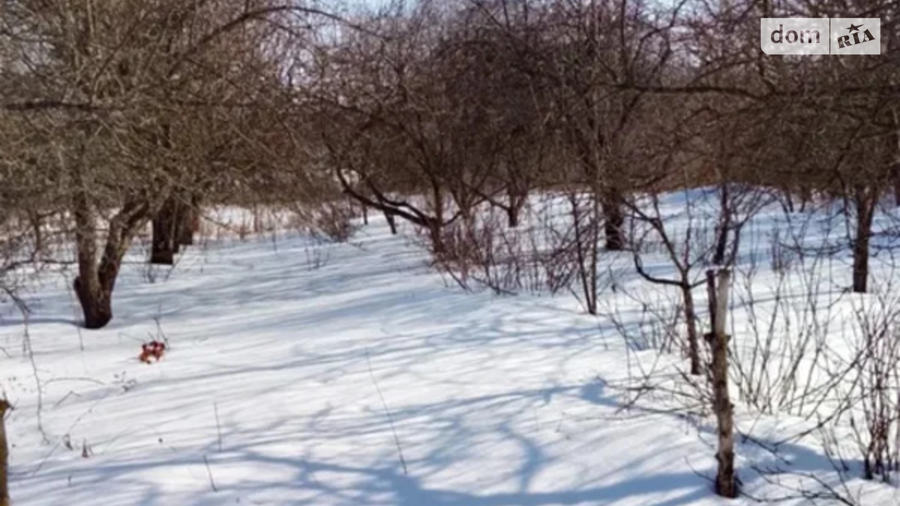 Зелена Амбары, цена: 40000 грн - фото 5