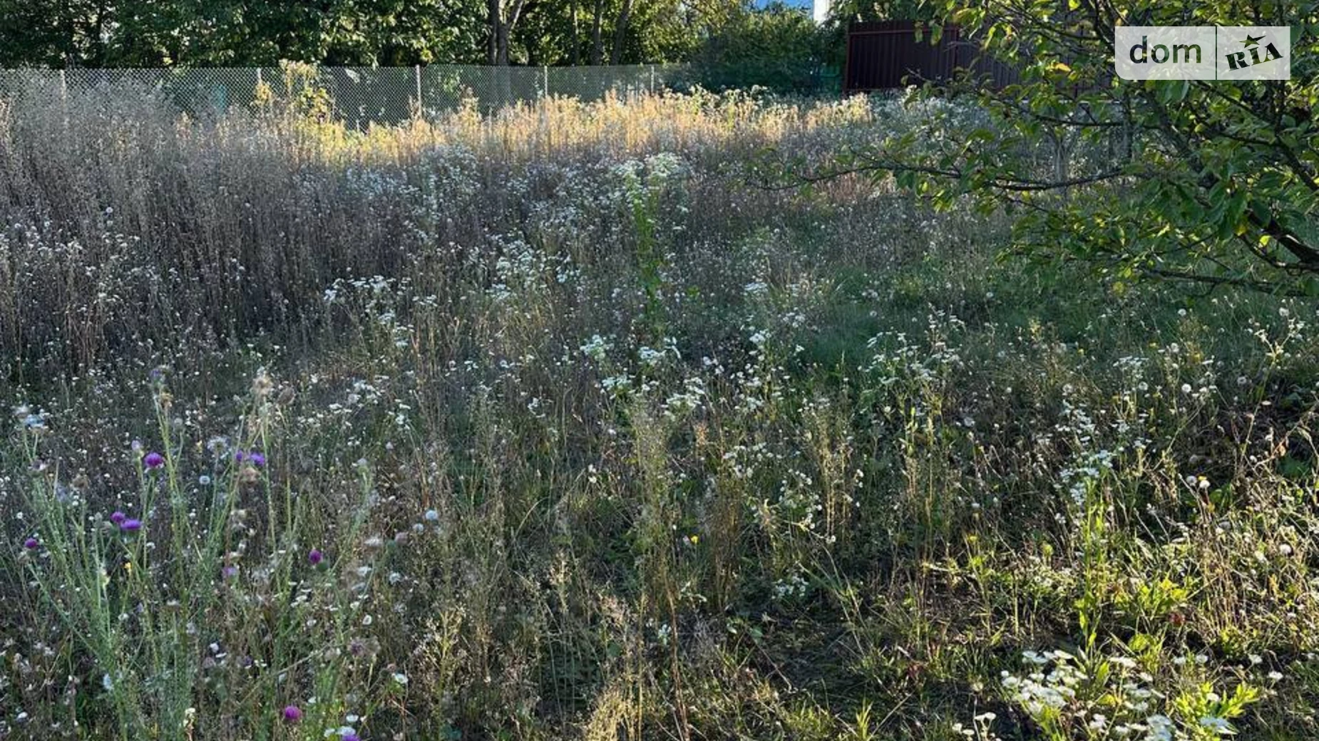 Продается земельный участок 9 соток в Хмельницкой области, цена: 9000 $ - фото 4