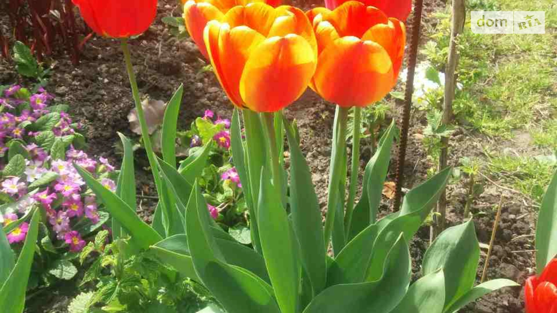 ул. Каховская Роша Стынка Черновцы, цена: 6000 $ - фото 4