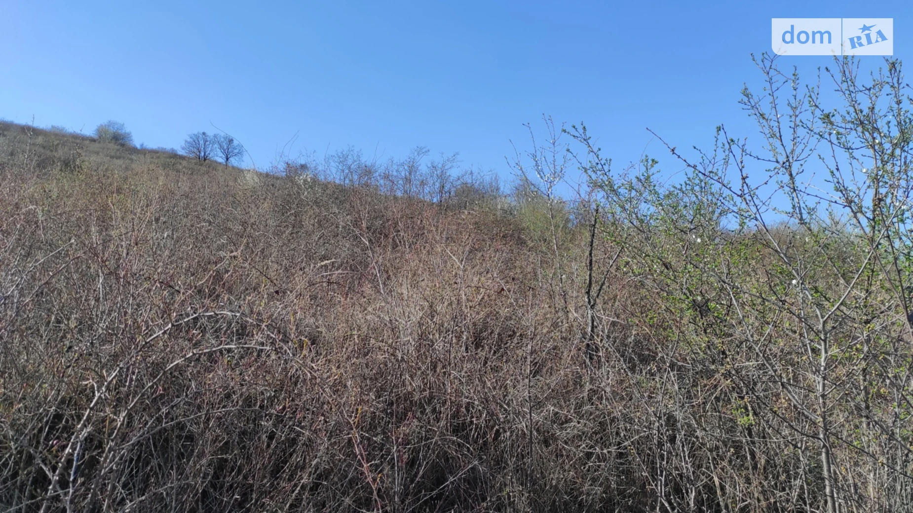 Продается земельный участок 11.69 соток в Закарпатской области, цена: 5000 $ - фото 3