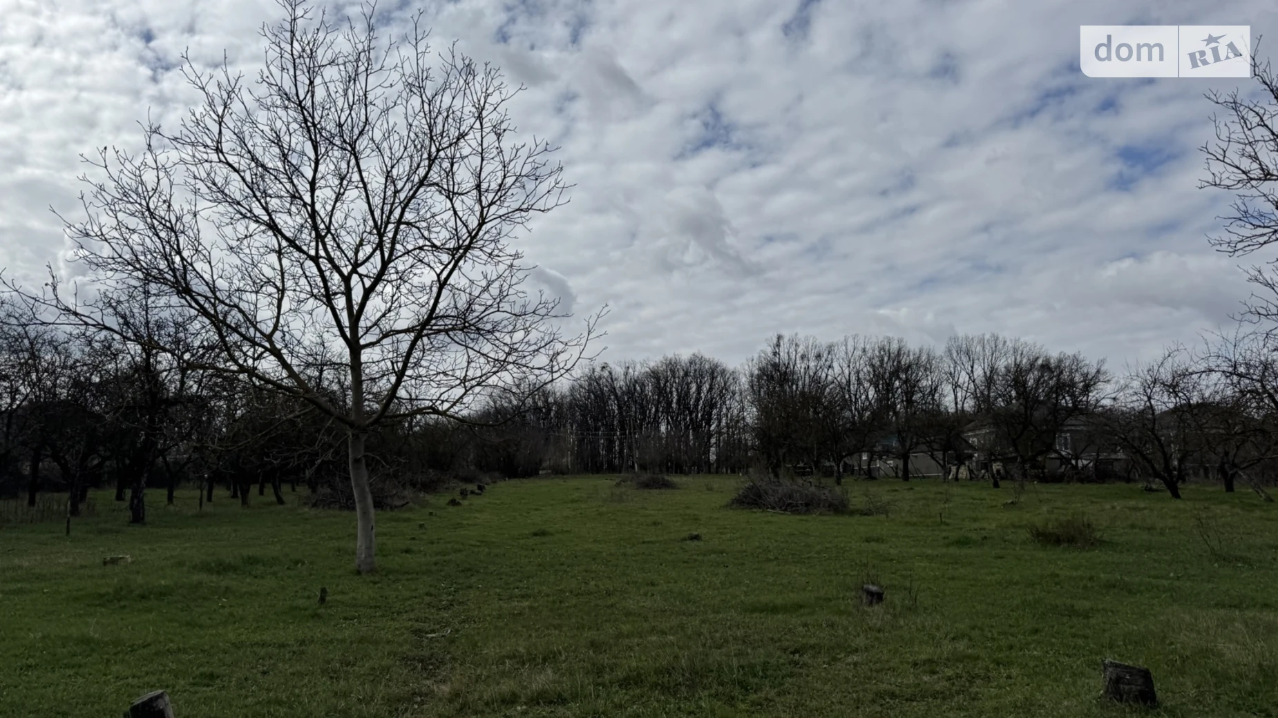 Продается земельный участок 50 соток в Черновицкой области, цена: 12300 $ - фото 3