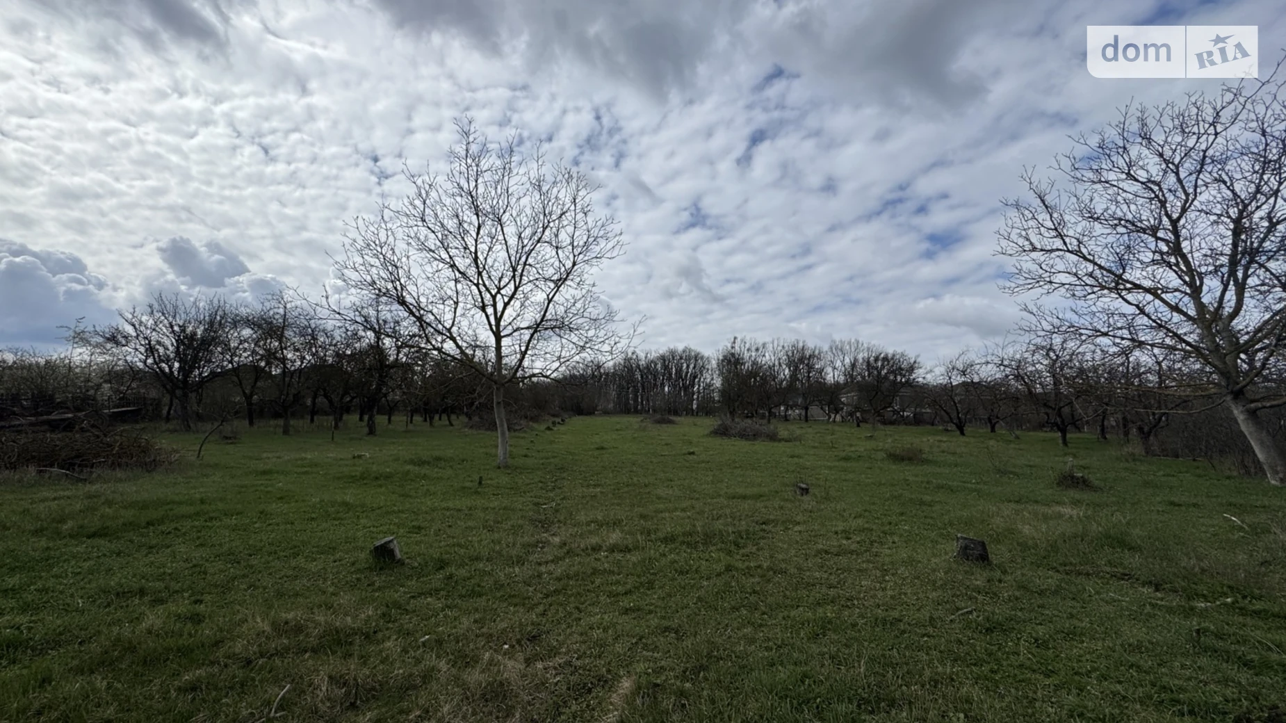 Продается земельный участок 50 соток в Черновицкой области, цена: 12300 $ - фото 4