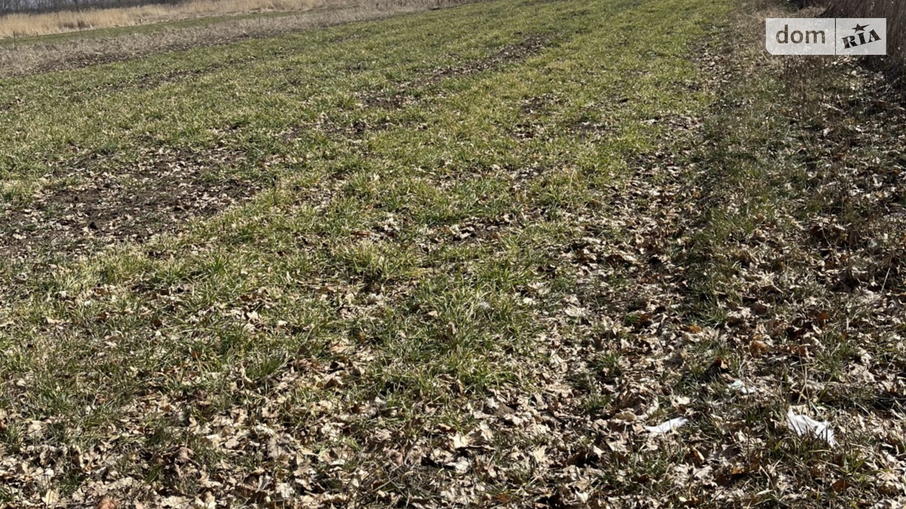 Продается земельный участок 12 соток в Черниговской области, цена: 230000 грн - фото 2