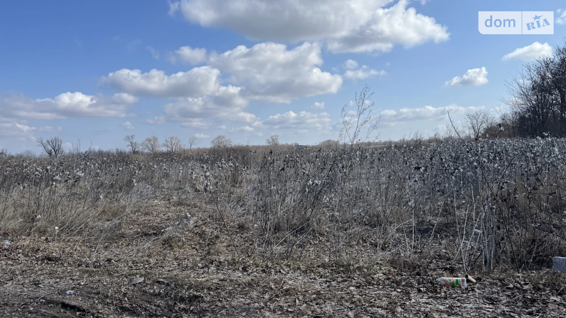 Продается земельный участок 12 соток в Черниговской области, цена: 230000 грн - фото 3