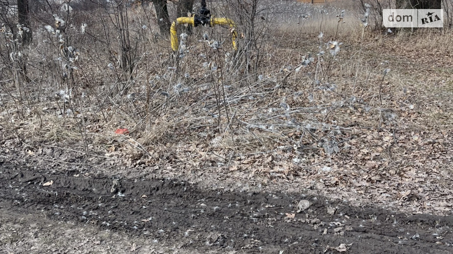 Продается земельный участок 12 соток в Черниговской области, цена: 230000 грн - фото 4