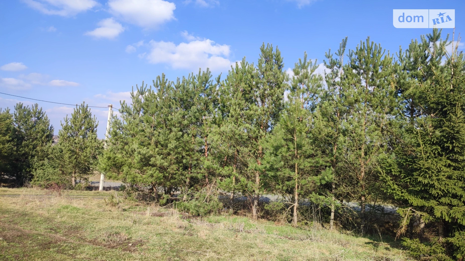 Продается земельный участок 10 соток в Хмельницкой области, цена: 7000 $ - фото 3