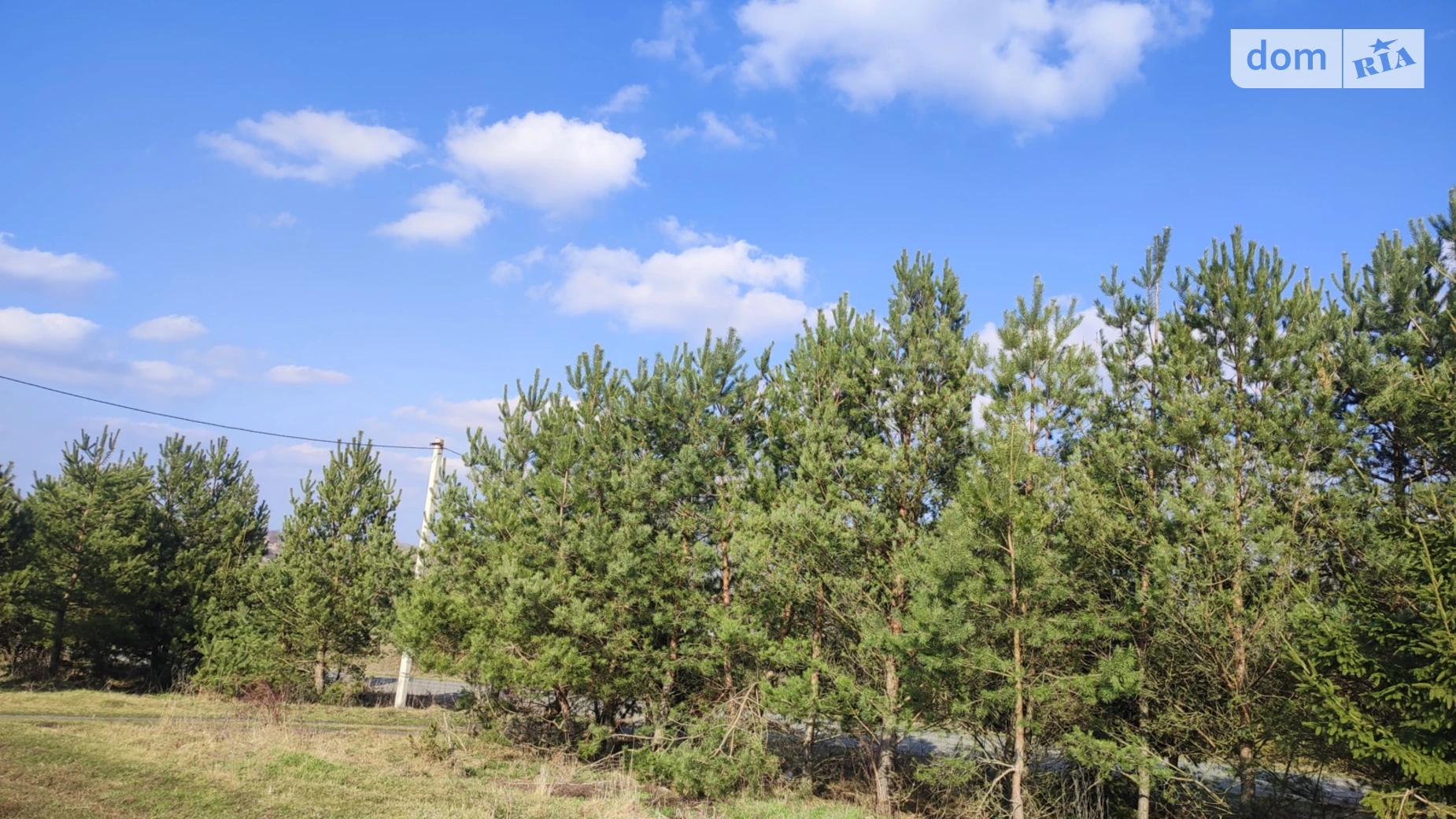 Продается земельный участок 10 соток в Хмельницкой области, цена: 7000 $ - фото 4