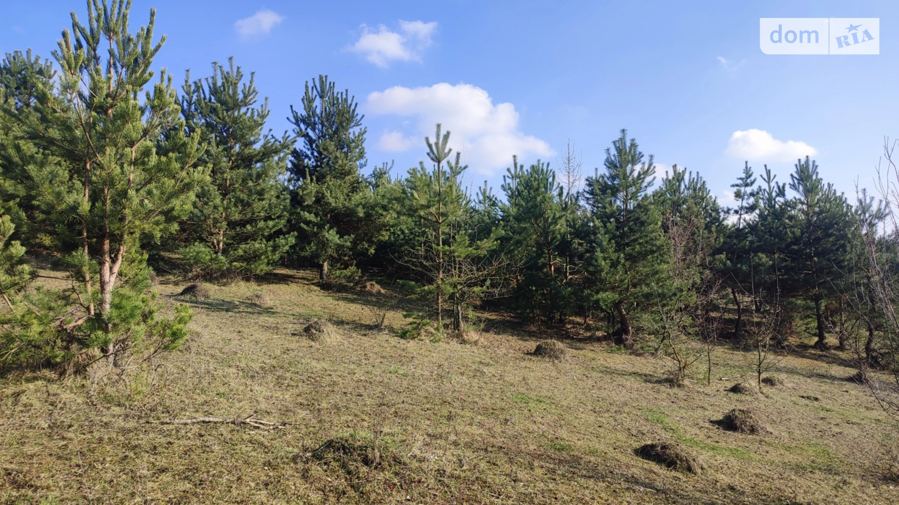 Продается земельный участок 10 соток в Хмельницкой области, цена: 7000 $ - фото 5