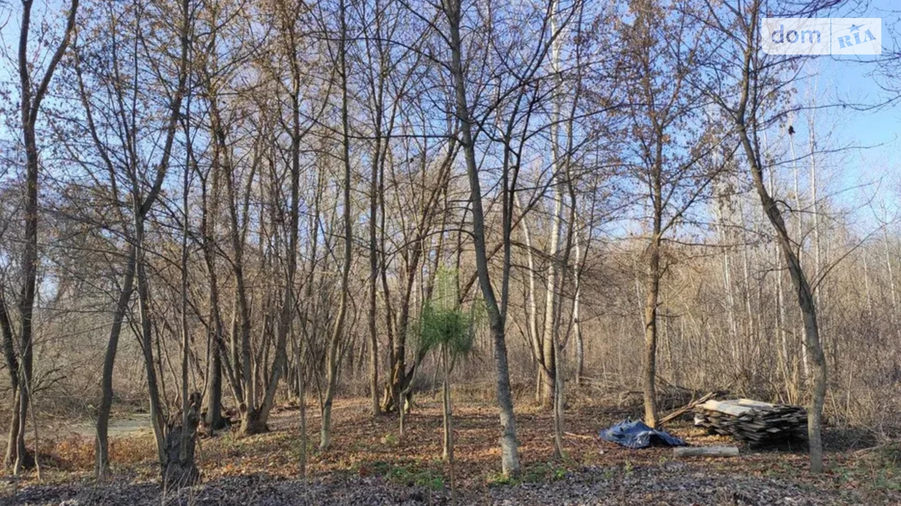 Продается земельный участок 10 соток в Сумской области, цена: 7500 $ - фото 3