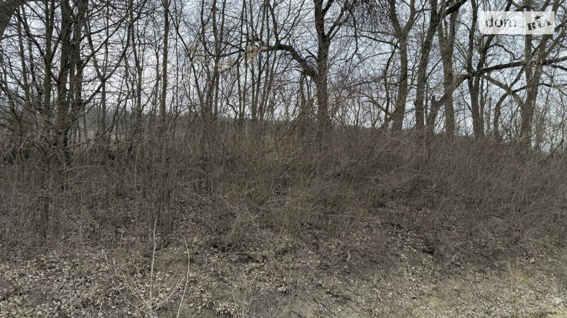 Продается земельный участок 500 соток в Хмельницкой области, цена: 1500000 $ - фото 2