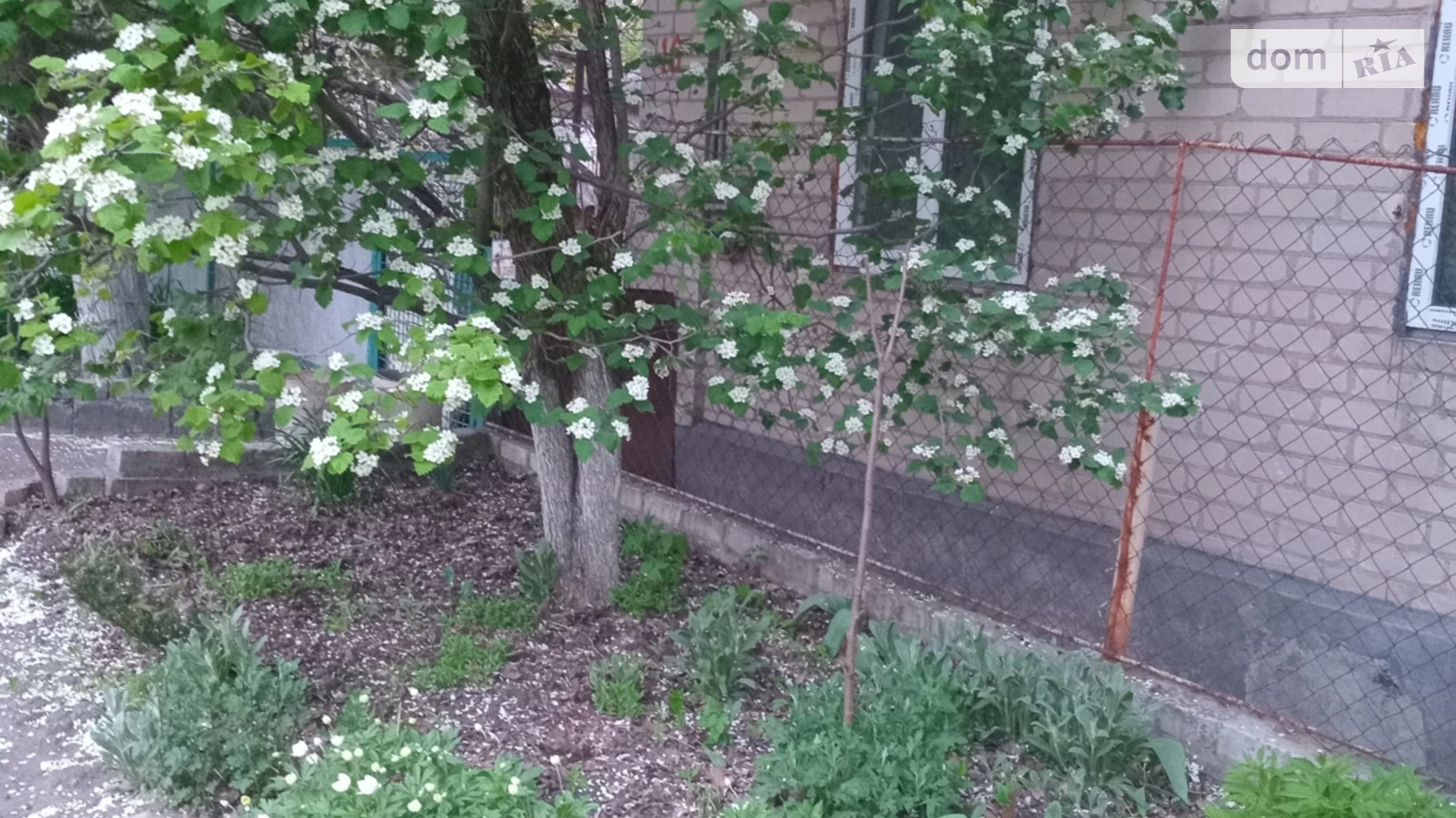 Продается часть дома 40.8 кв. м с подвалом, цена: 27000 $ - фото 2