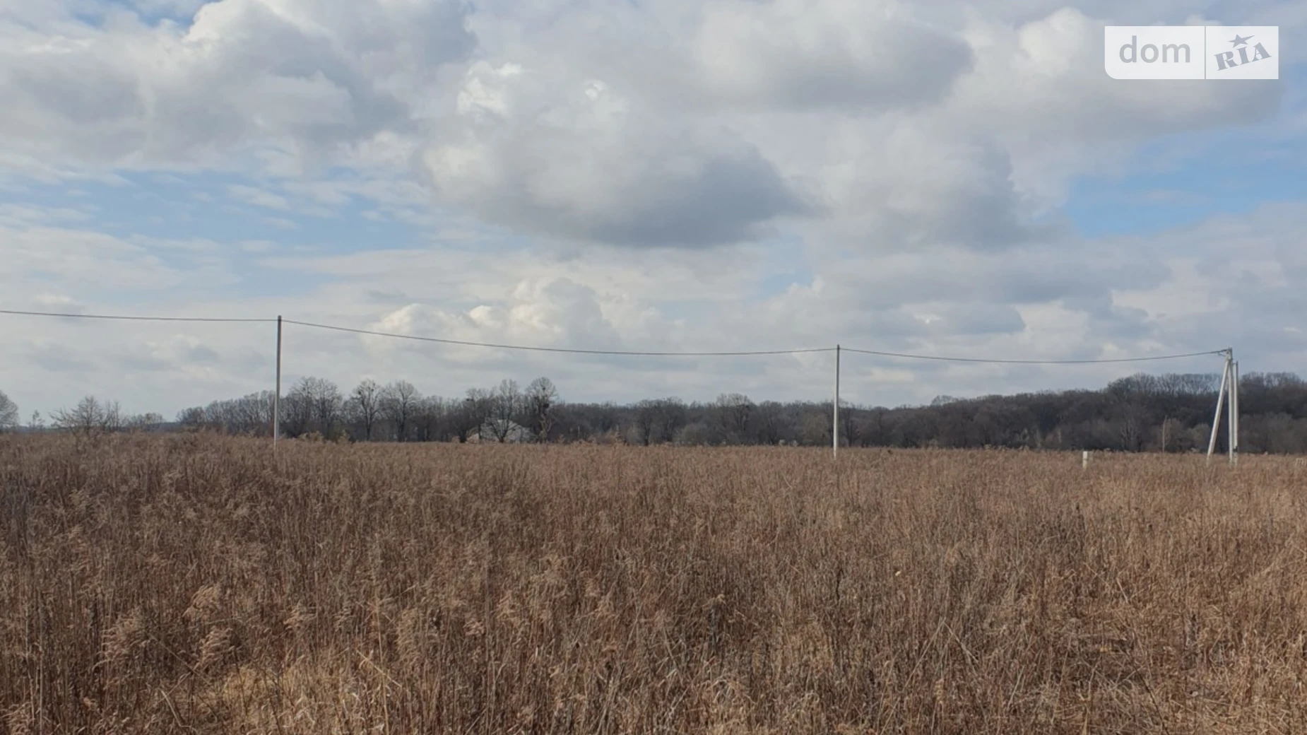 Продается земельный участок 20 соток в Винницкой области, цена: 41999 $ - фото 2
