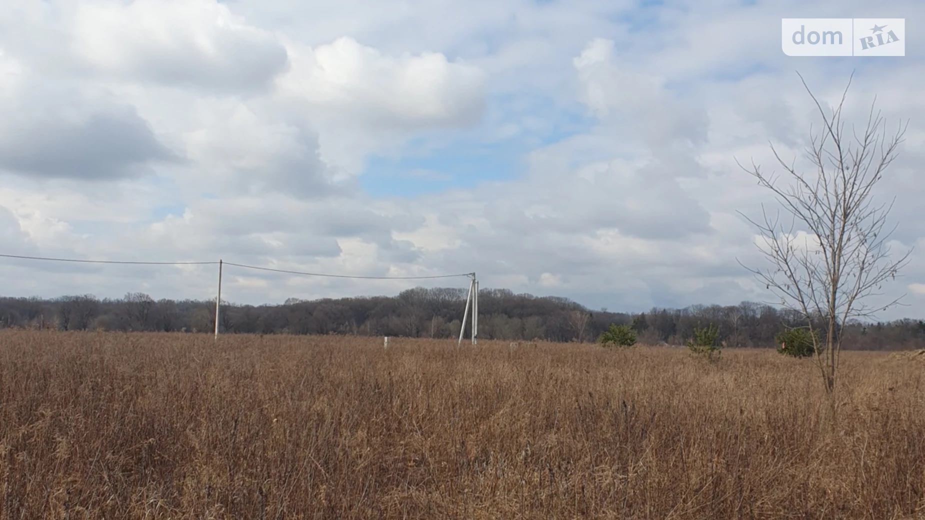 Продается земельный участок 20 соток в Винницкой области, цена: 41999 $ - фото 3