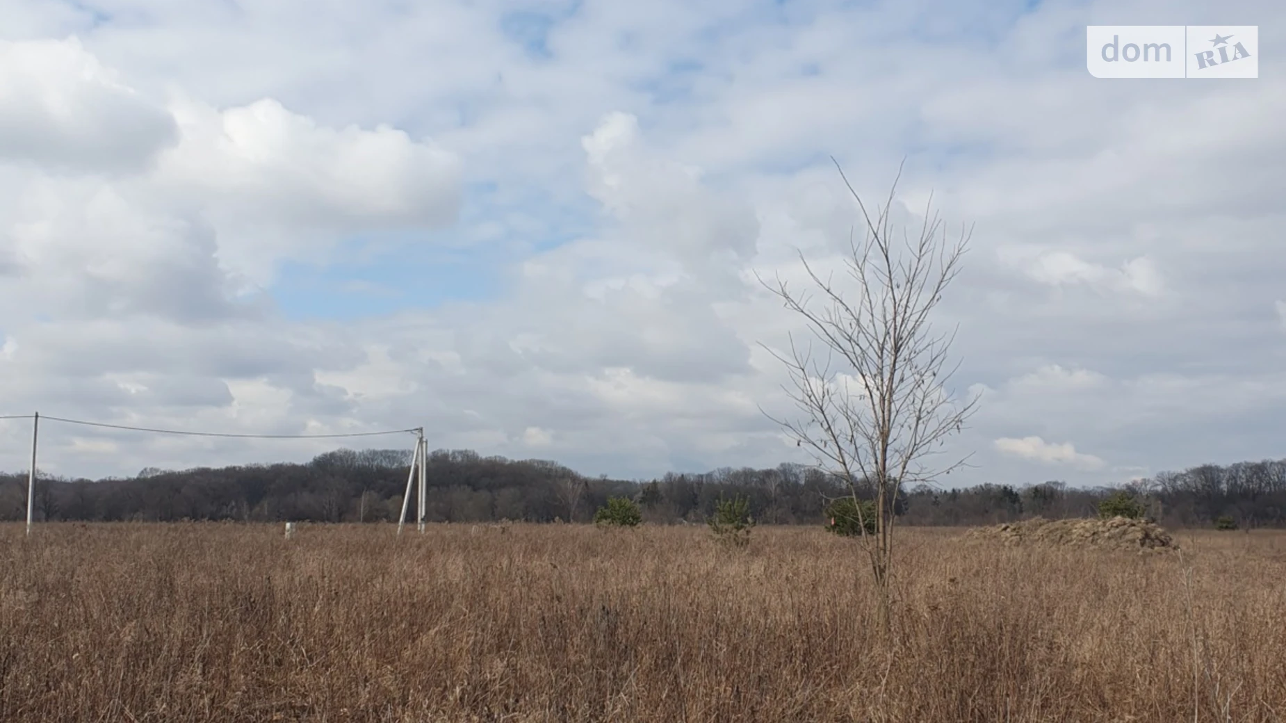 Продается земельный участок 20 соток в Винницкой области, цена: 41999 $ - фото 5