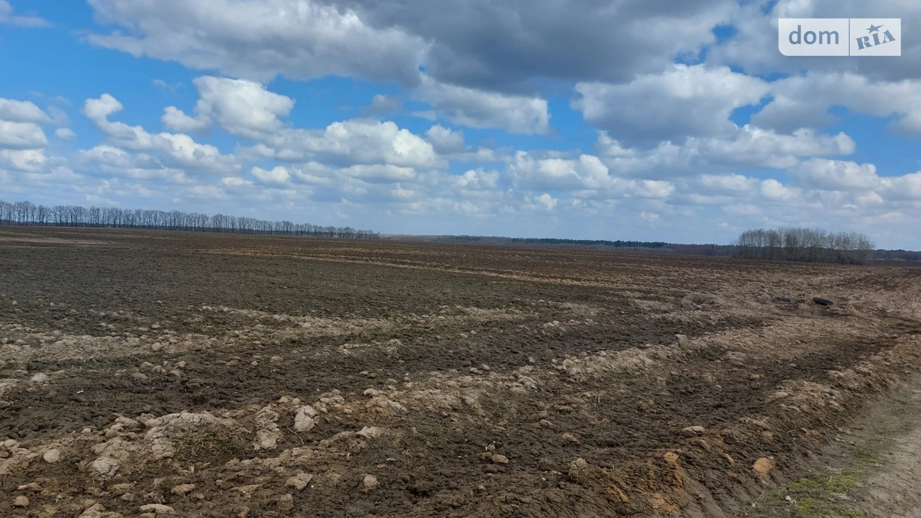 Стрижавка, цена: 420000 $ - фото 5