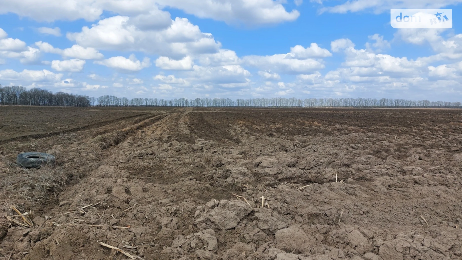 ул. Дорошенко Стрижавка, цена: 210000 $ - фото 3