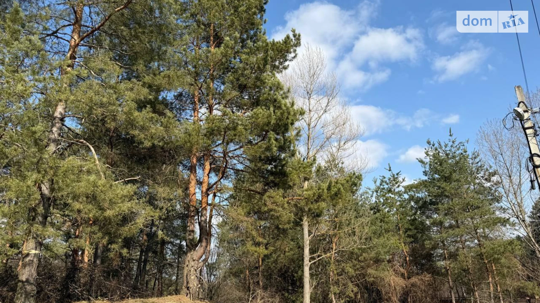 Продается земельный участок 25 соток в Киевской области, цена: 96000 $ - фото 2