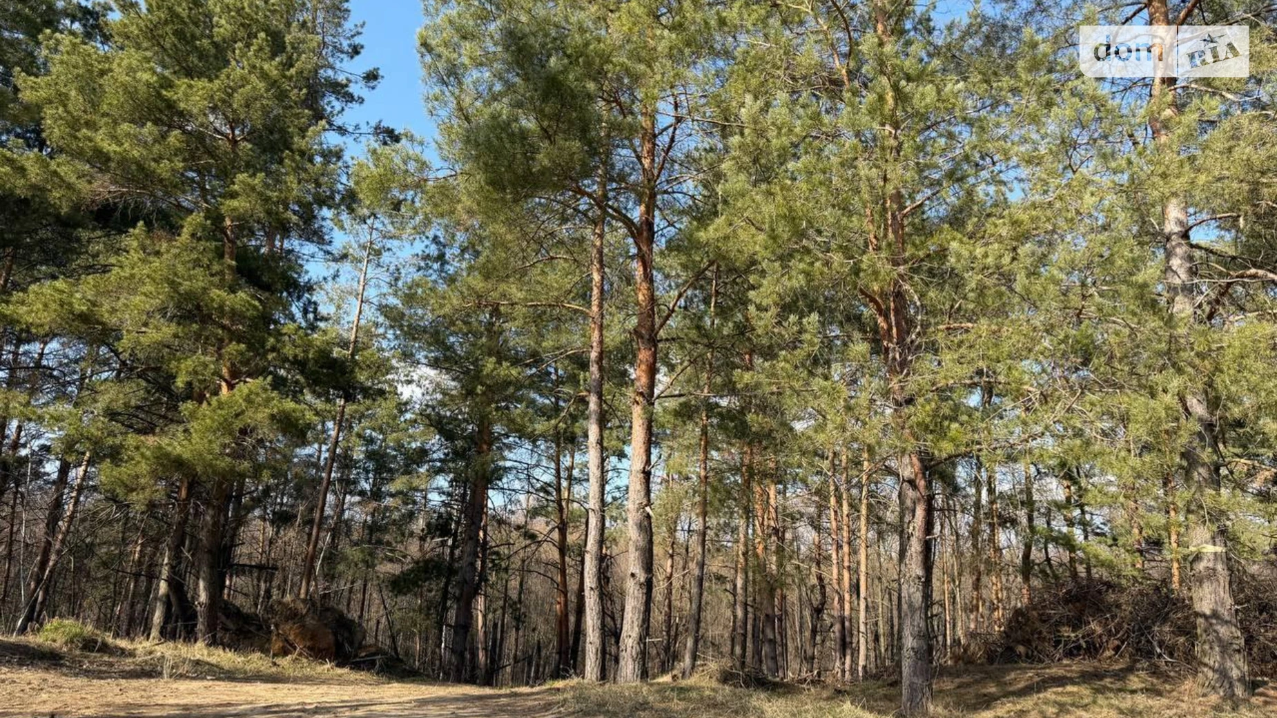 Продается земельный участок 25 соток в Киевской области, цена: 96000 $ - фото 3