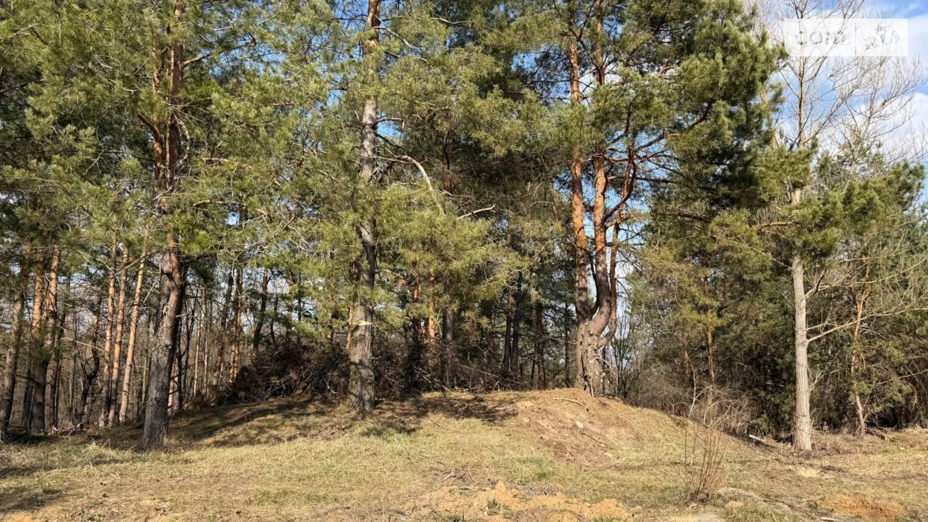 Продается земельный участок 25 соток в Киевской области, цена: 96000 $ - фото 4