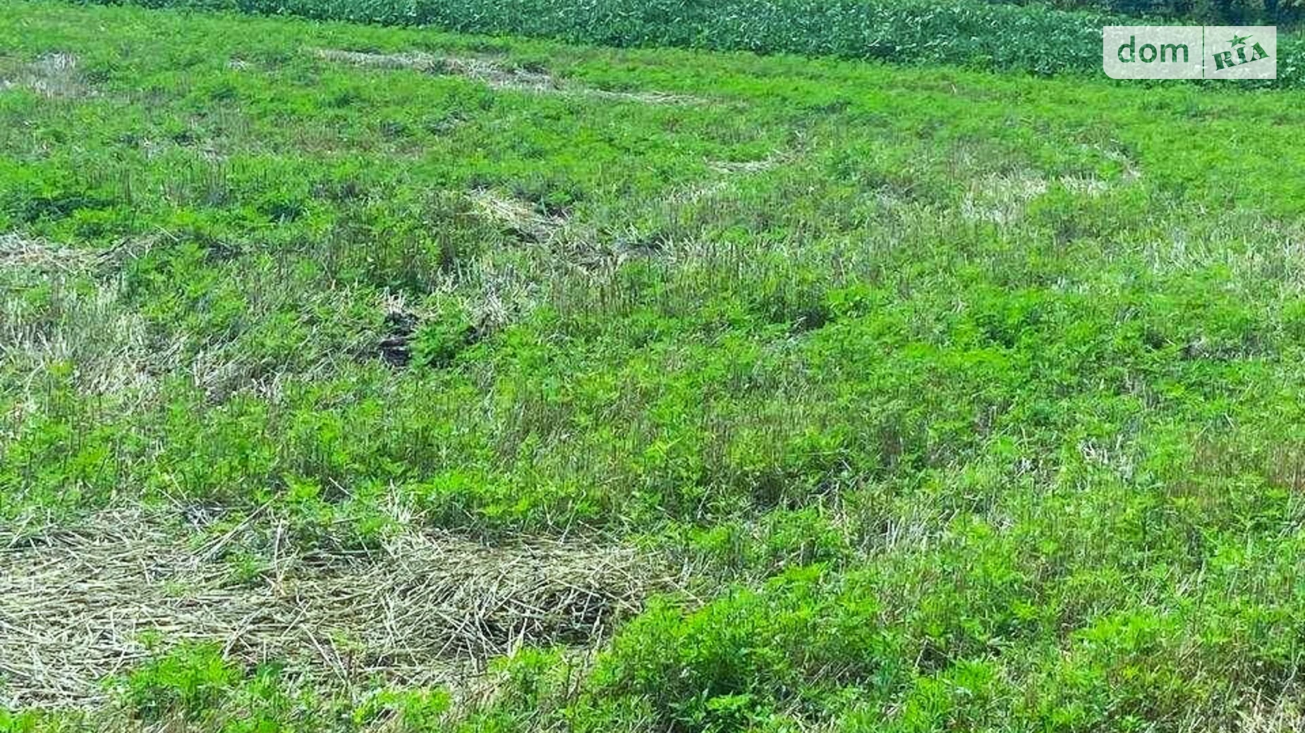 Продается земельный участок 12 соток в Полтавской области, цена: 2500 $ - фото 3