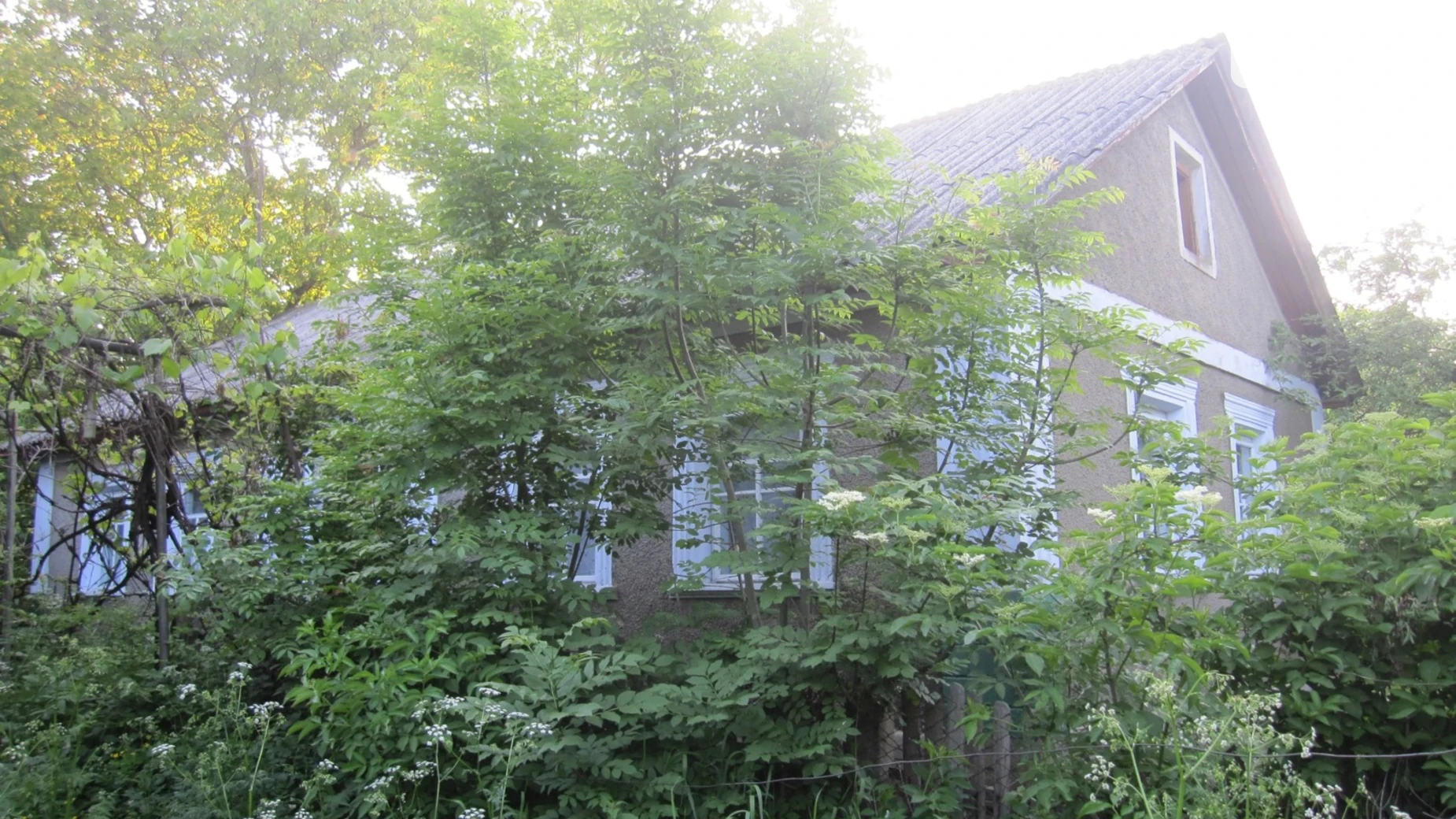 Продається одноповерховий будинок 75 кв. м з балконом, цена: 7000 $ - фото 3