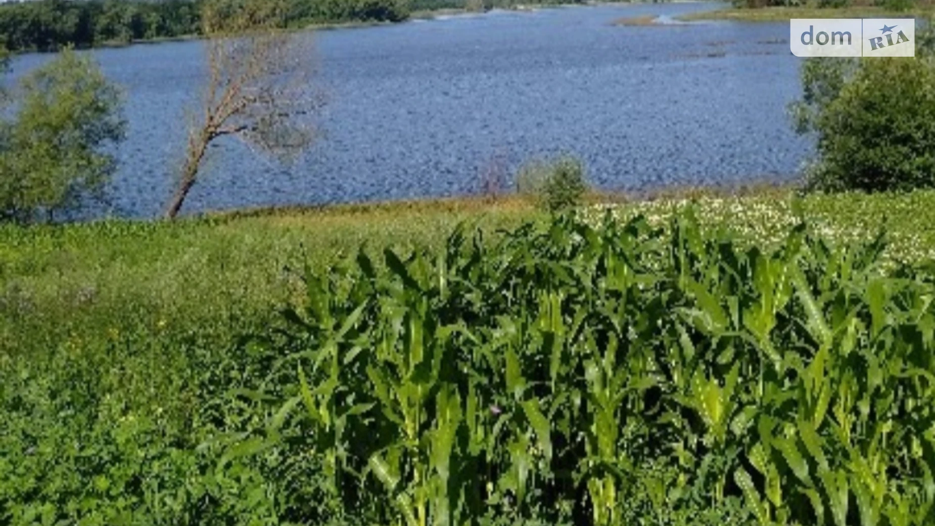 Продається земельна ділянка 37 соток у Хмельницькій області, цена: 79000 $ - фото 5