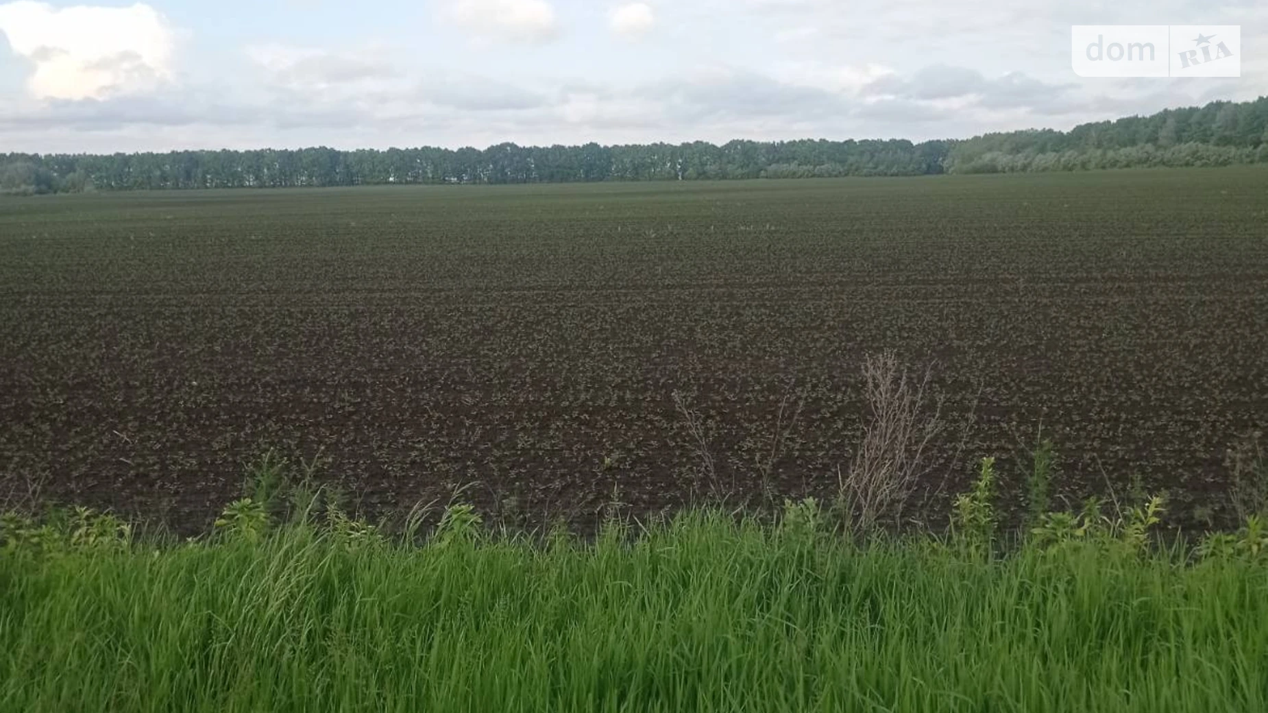 Великая Бугаевка, цена: 238000 $ - фото 3