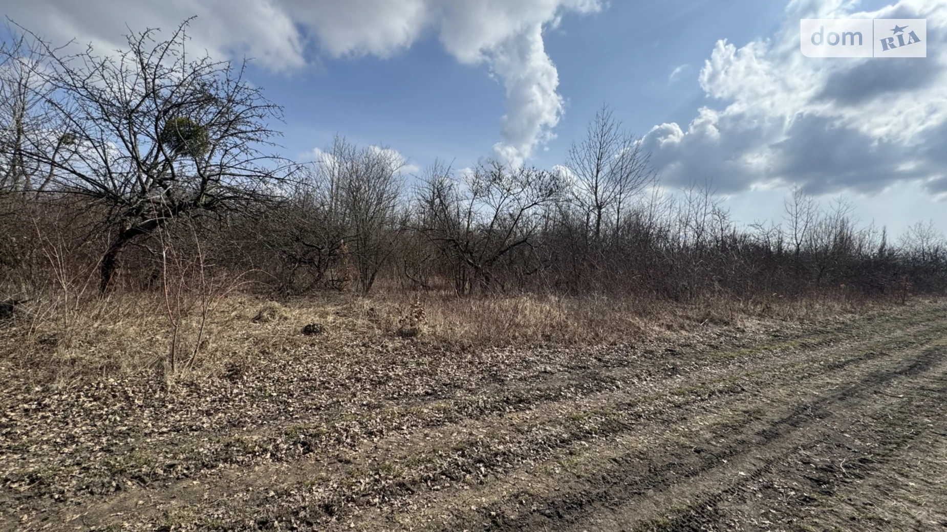 Продается земельный участок 8.66 соток в Хмельницкой области, цена: 8000 $ - фото 2