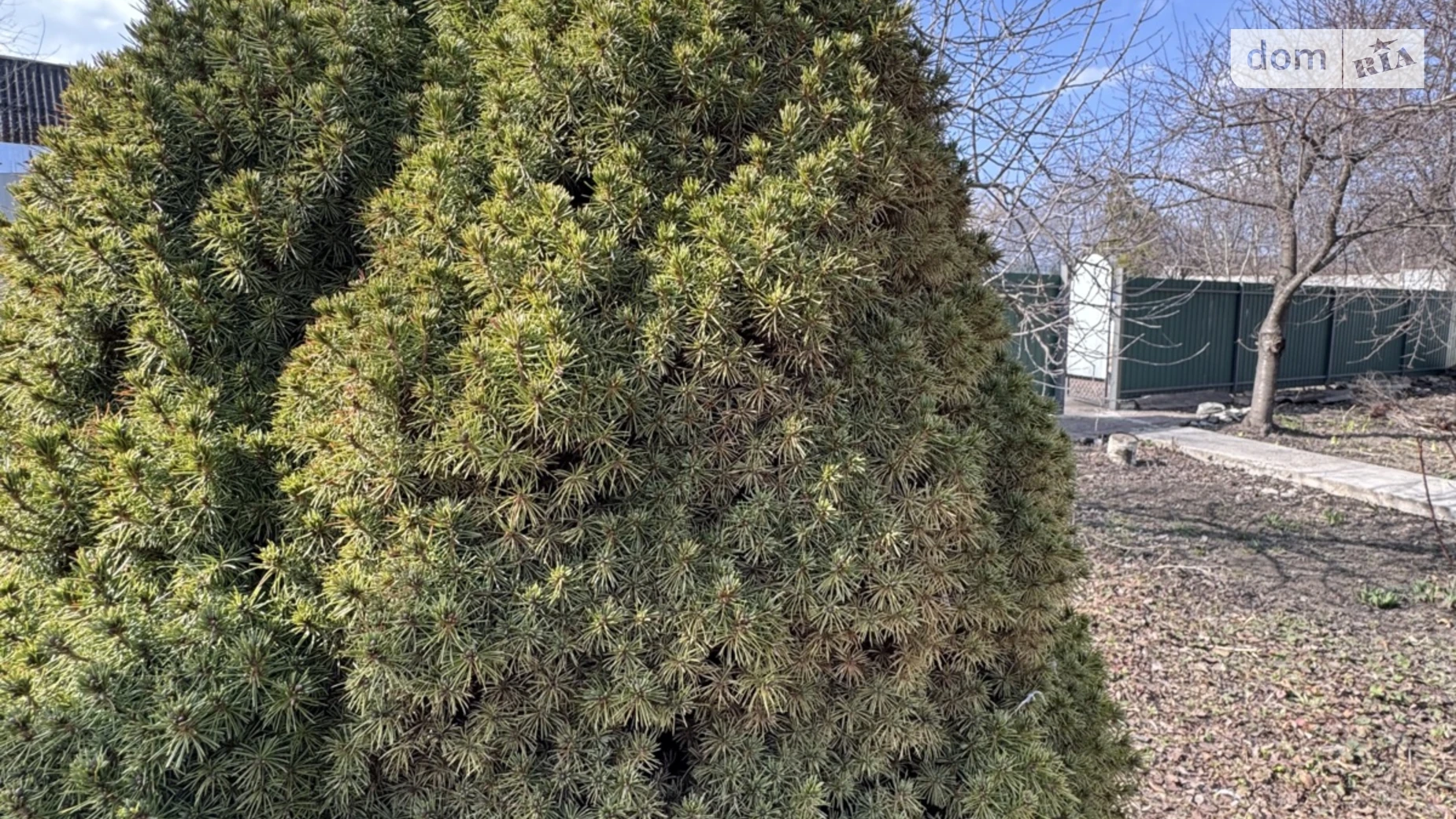 Продается одноэтажный дом 86.4 кв. м с мебелью, цена: 68000 $ - фото 5