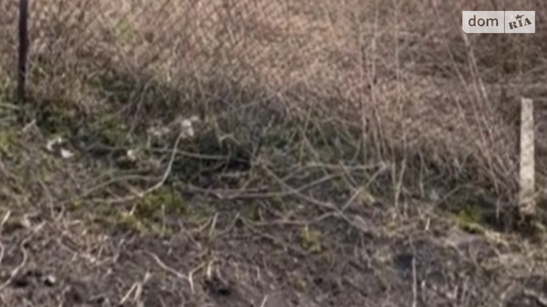ул. Великий Кут Жовтанцы, цена: 2000 грн - фото 5