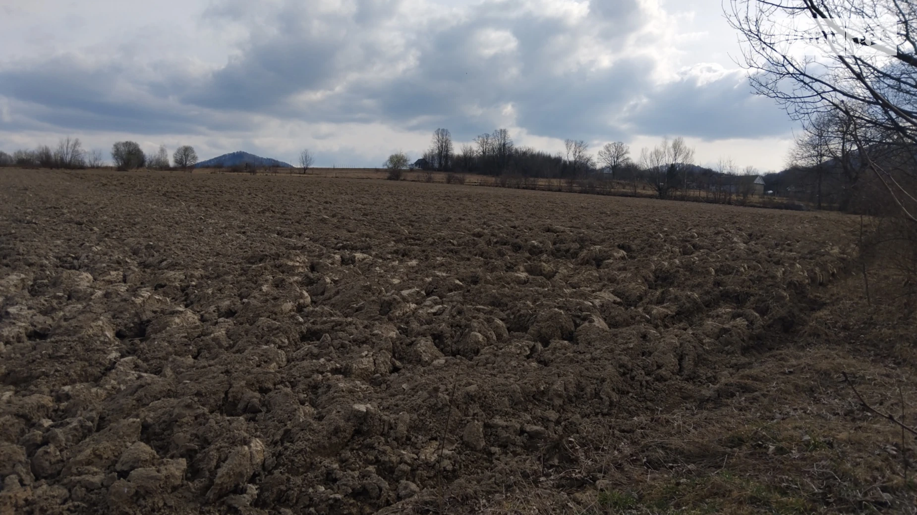 Продается земельный участок 0.43 соток в Черновицкой области, цена: 35000 $ - фото 4