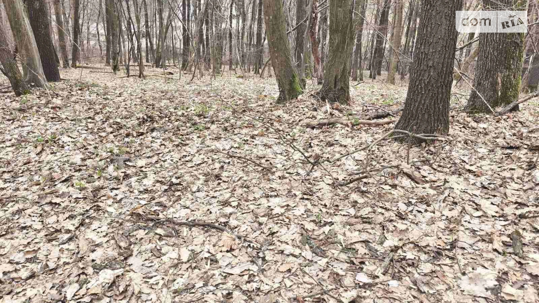 Продается земельный участок 0.07 соток в Львовской области, цена: 35000 $ - фото 5